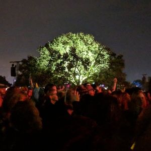 Meet your Posher, Cait